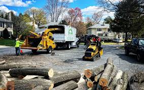  Whitfield, FL Tree Care Pros